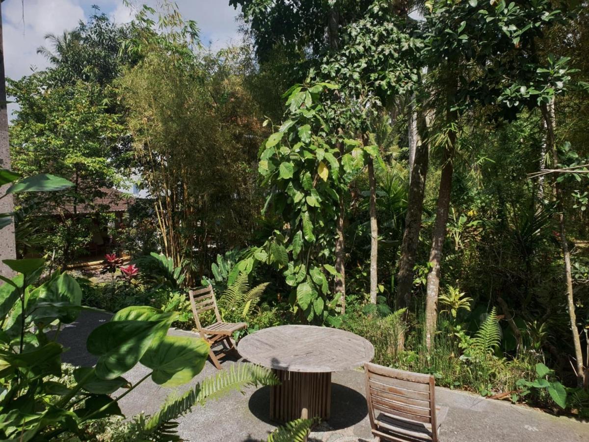 Nyoman Homestay Ubud ภายนอก รูปภาพ